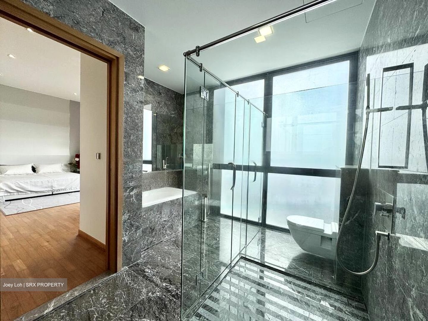 Lucida (D11), Apartment #567190951